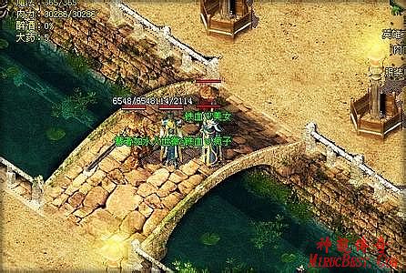 传奇1.76纯金币版