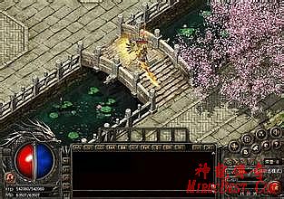 游戏蜂窝破解版