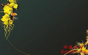 1.76传奇裁决怎么升级