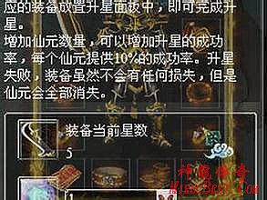 金飞传奇故事