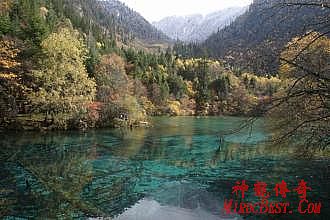 传奇中变