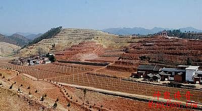 传奇歪歪频道设计图案