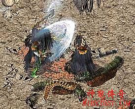 新邹平传奇05年