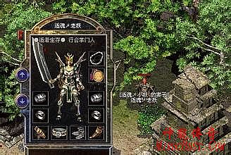 新开无英雄传奇私服