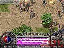 认了草药在虹魔猪卫咱