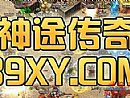 传奇3神舰道士应该怎