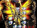 百岁以上有黑野猪鹿说