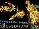 传奇金币版,养得不错